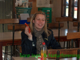 Holdskydning Sorø 2001